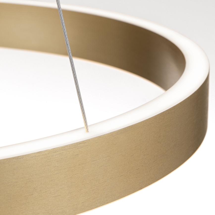 Dimmable LED cable pendant KOLK LED/60W/230V 2700/3000/4000K diam. 60 cm gold