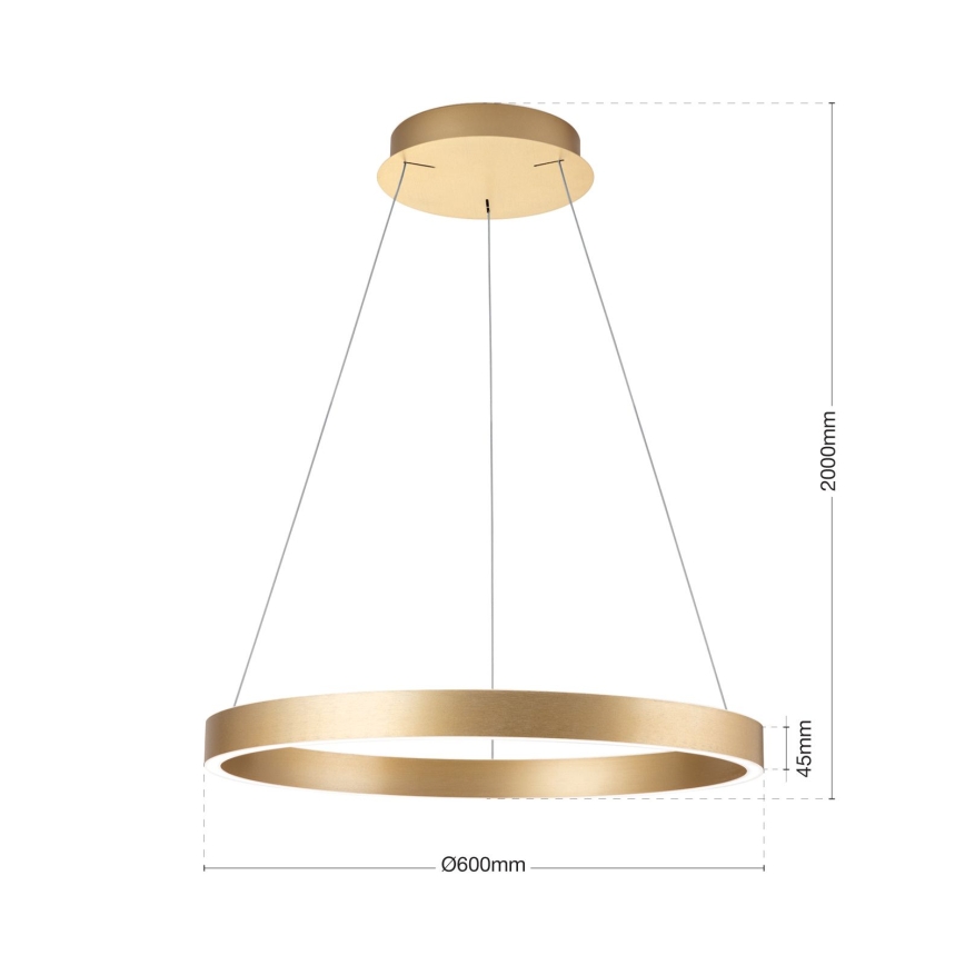 Dimmable LED cable pendant KOLK LED/60W/230V 2700/3000/4000K diam. 60 cm gold