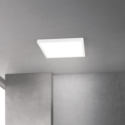 Dimmable LED Ceiling Light DISC LED/30W/230V 2700/3000/4000K 39x39 cm white