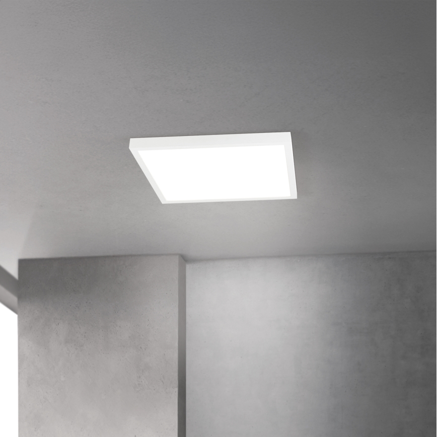 Dimmable LED Ceiling Light DISC LED/30W/230V 2700/3000/4000K 39x39 cm white