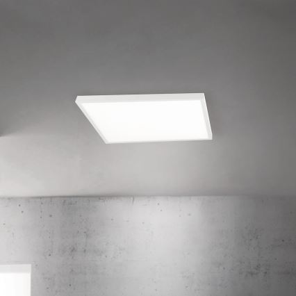 LED Dimmable Ceiling Light DISC LED/46W/230V 2700/3000/4000K 59x59 cm white