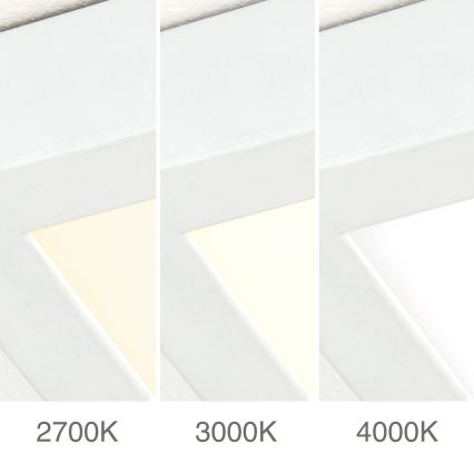 LED Dimmable Ceiling Light DISC LED/46W/230V 2700/3000/4000K 59x59 cm white