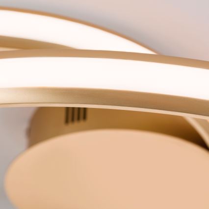 LED Dimmable ceiling light CIRCUS LED/30W/230V gold