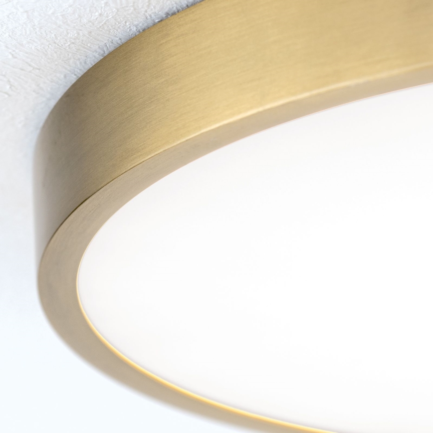LED Ceiling light BULLY LED/28W/230V d. 28 cm gold