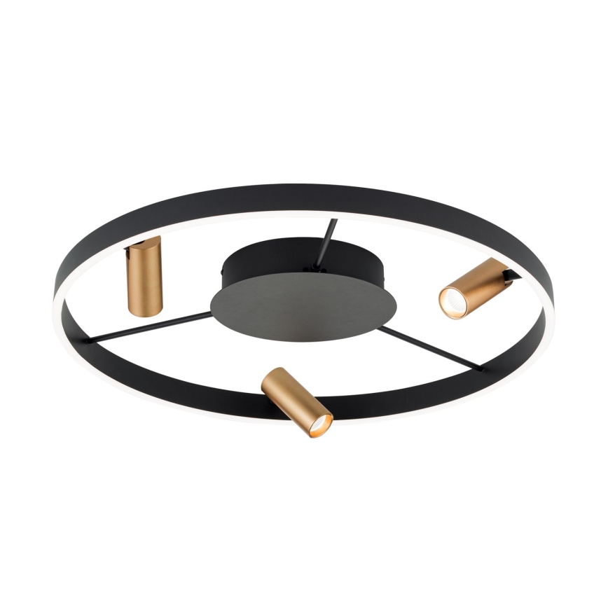 LED Dimmable ceiling light BERLIN LED/50W/230V black/gold