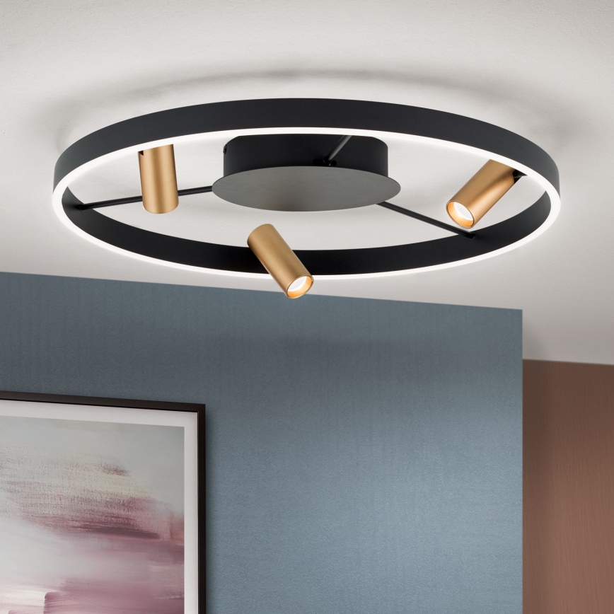 LED Dimmable ceiling light BERLIN LED/50W/230V black/gold