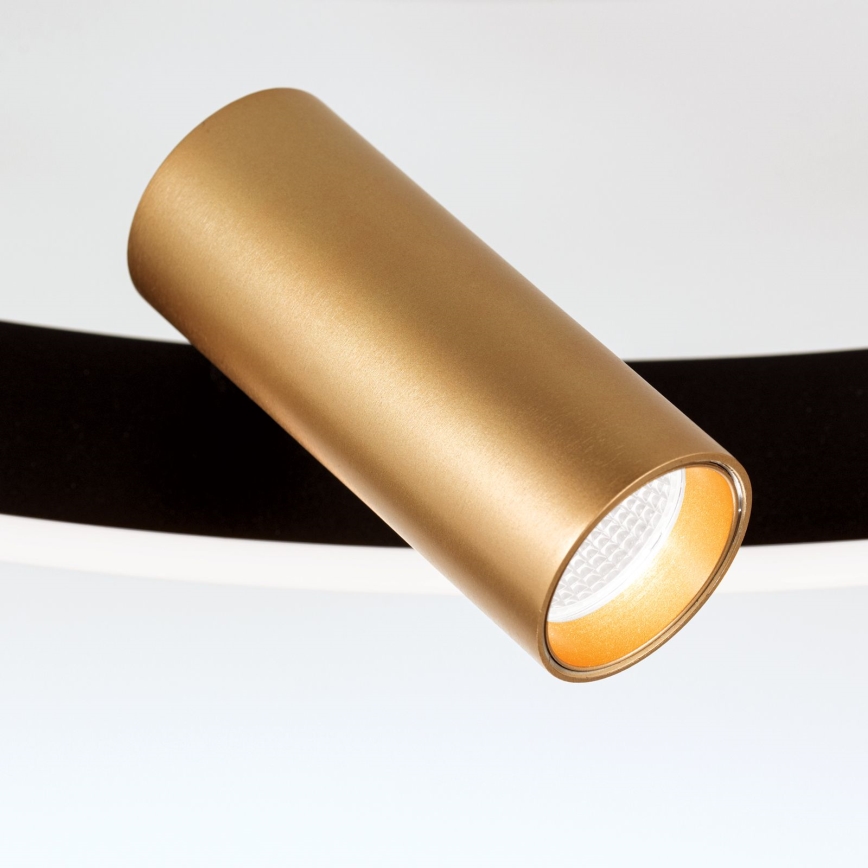 LED Dimmable ceiling light BERLIN LED/50W/230V black/gold