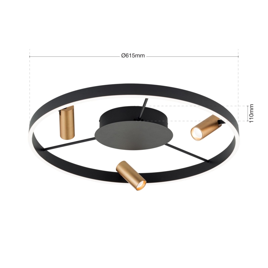 LED Dimmable ceiling light BERLIN LED/50W/230V black/gold