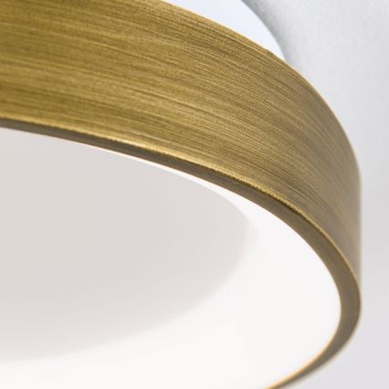 LED Ceiling light CHARLIE LED/35W/230V d. 45 cm gold