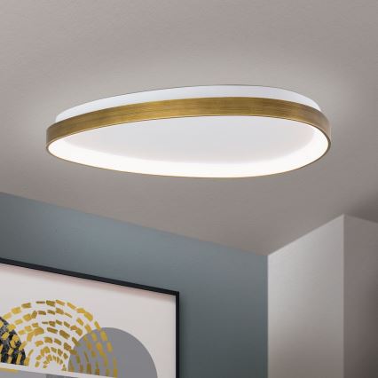 LED Ceiling light CHARLIE LED/48W/230V d. 65 cm gold