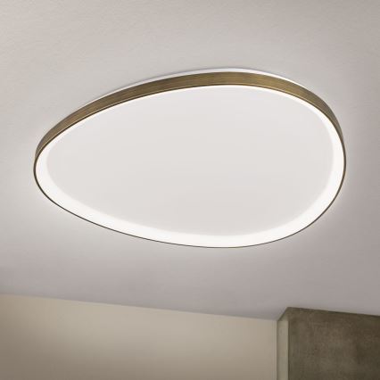 LED Ceiling light CHARLIE LED/72W/230V d. 80 cm gold