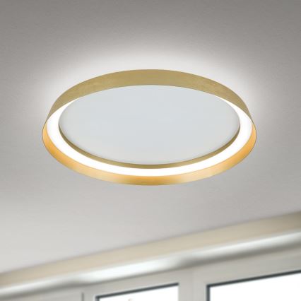 LED Dimmable ceiling light MANTA LED/38W/230V 2700/3000/4000K d. 45 cm gold