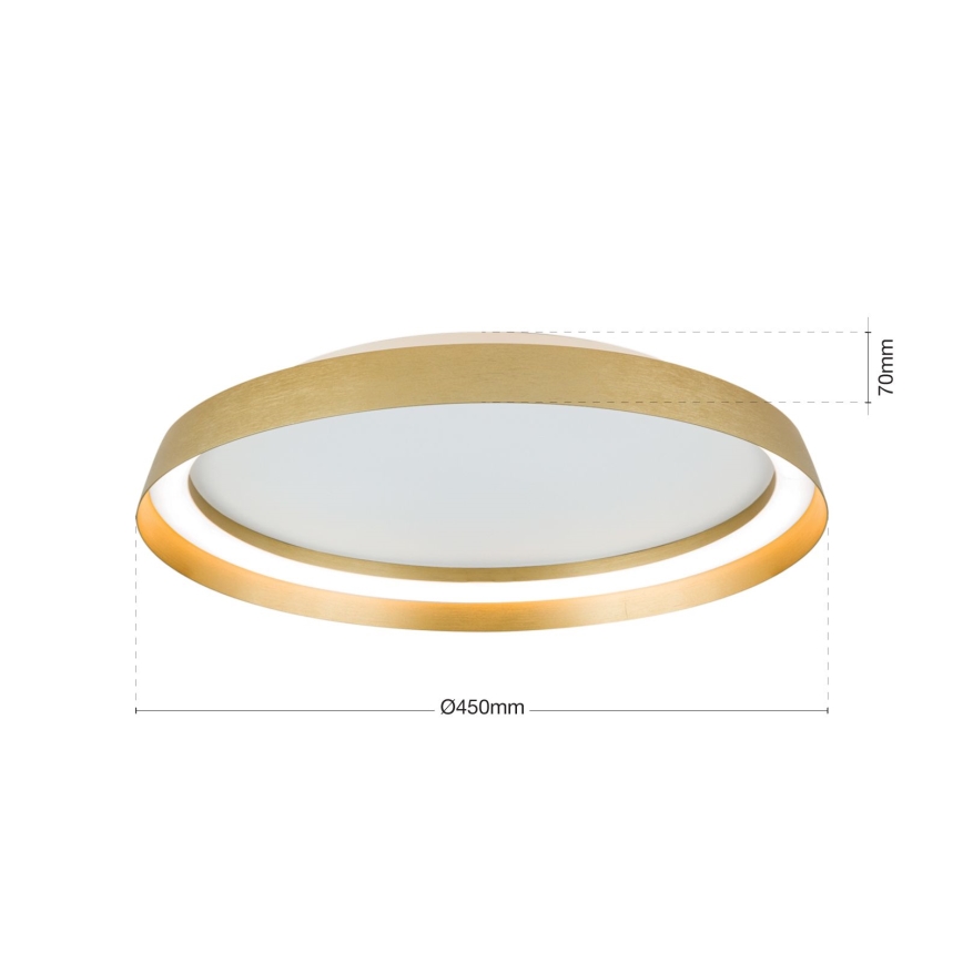 LED Dimmable ceiling light MANTA LED/38W/230V 2700/3000/4000K d. 45 cm gold