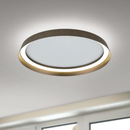 LED Dimmable ceiling light MANTA LED/38W/230V 2700/3000/4000K d. 45 cm brown