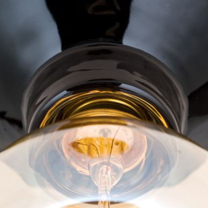 Ceiling light FROST 1xE27/60W/230V black