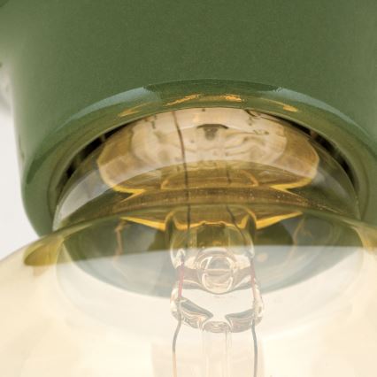 FROST Ceiling Light 1xE27/60W/230V Green