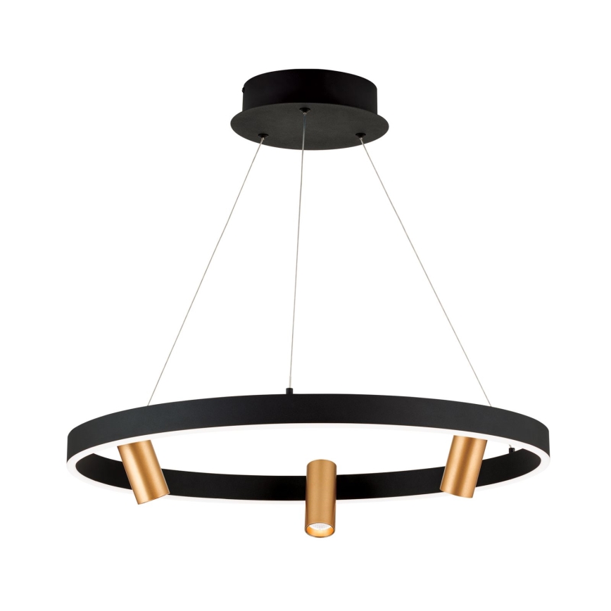 LED Dimmable chandelier on a string BERLIN LED/50W/230V black/gold