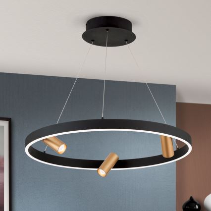 LED Dimmable chandelier on a string BERLIN LED/50W/230V black/gold