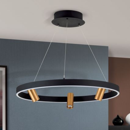 LED Dimmable chandelier on a string BERLIN LED/50W/230V black/gold