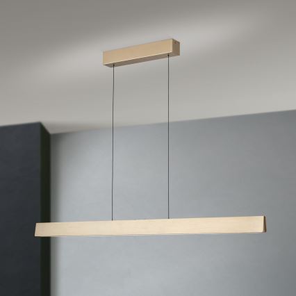 LED Dimmable chandelier on a string TARA LED/44W/230V 2700/3800/4500/5700K gold
