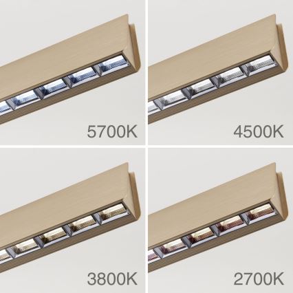 LED Dimmable chandelier on a string TARA LED/44W/230V 2700/3800/4500/5700K gold