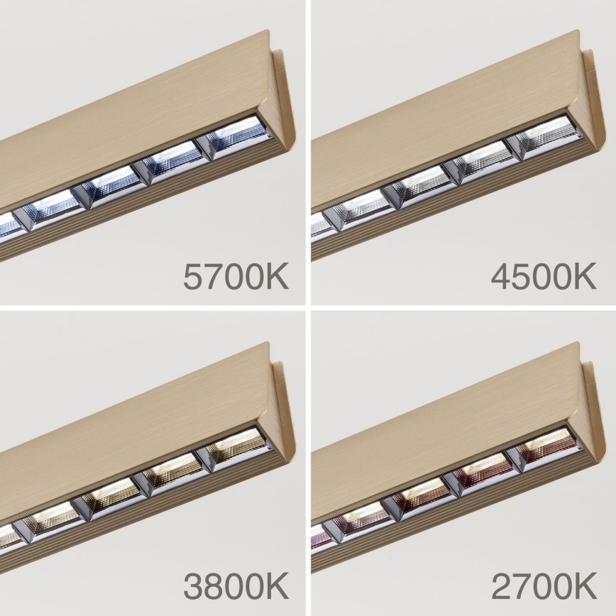 LED Dimmable chandelier on a string TARA LED/44W/230V 2700/3800/4500/5700K gold