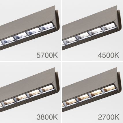 LED Dimmable chandelier on a string TARA LED/44W/230V 2700/3800/4500/5700K matte chrome