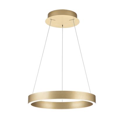 LED Dimmable pendant light on cable KOLK LED/40W/230V 2700/3000/4000K Ø 40 cm Gold