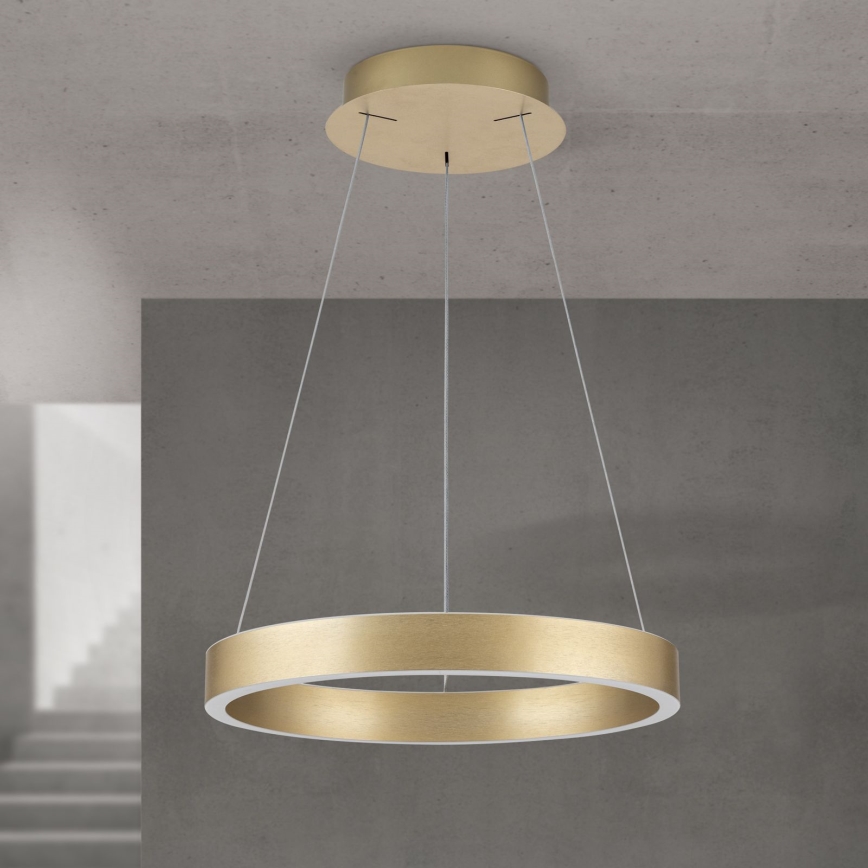 LED Dimmable pendant light on cable KOLK LED/40W/230V 2700/3000/4000K Ø 40 cm Gold