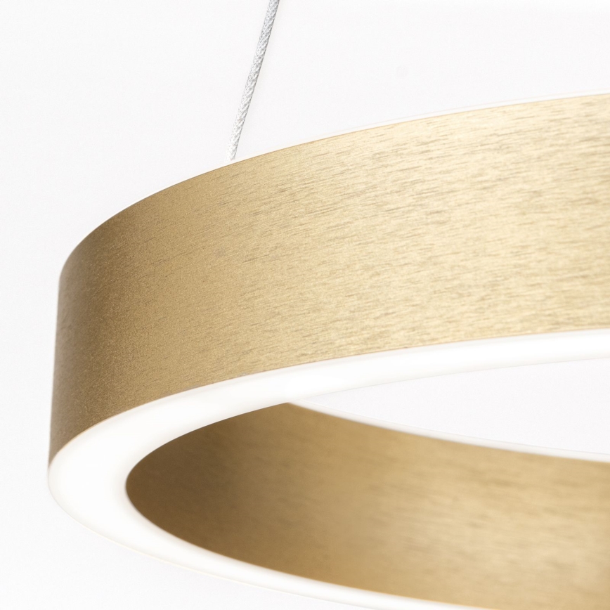 LED Dimmable pendant light on cable KOLK LED/40W/230V 2700/3000/4000K Ø 40 cm Gold