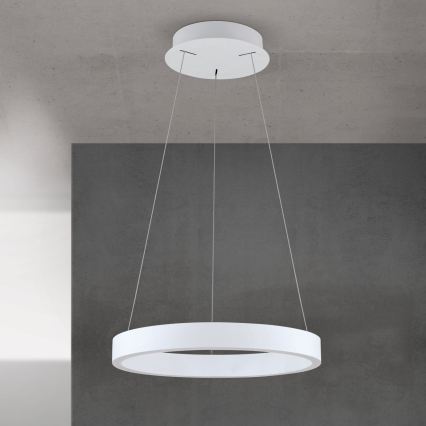 Dimmable LED Pendant on Cable KOLK LED/40W/230V 2700/3000/4000K Ø 40 cm white