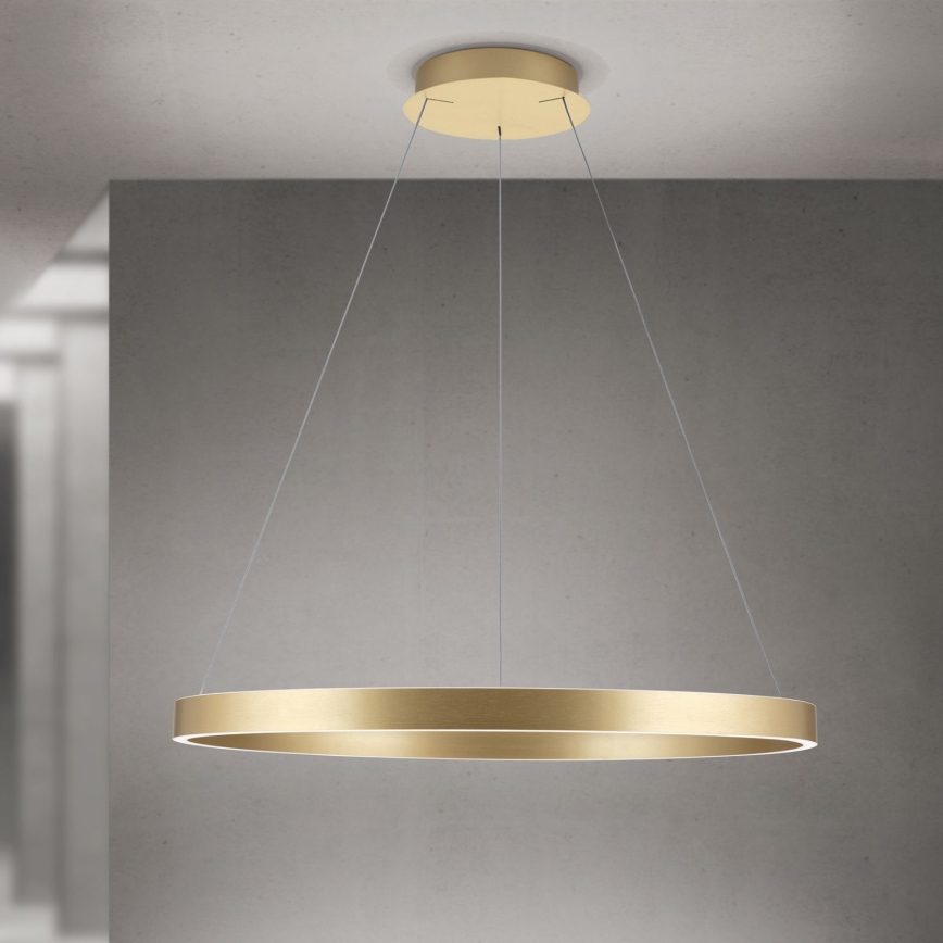 KOLK LED Dimmable Pendant Light on Cable LED/80W/230V 2700/3000/4000K dia. 80 cm Gold