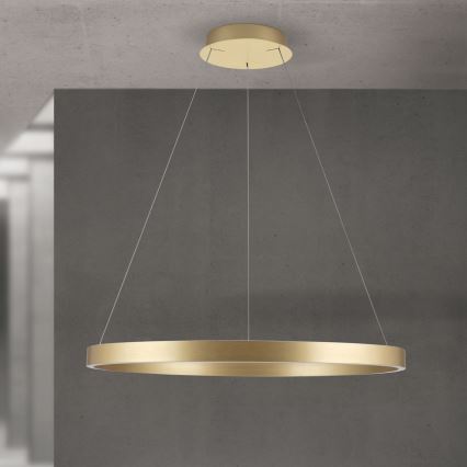 KOLK LED Dimmable Pendant Light on Cable LED/80W/230V 2700/3000/4000K dia. 80 cm Gold