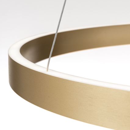 KOLK LED Dimmable Pendant Light on Cable LED/80W/230V 2700/3000/4000K dia. 80 cm Gold
