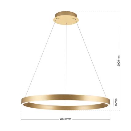 KOLK LED Dimmable Pendant Light on Cable LED/80W/230V 2700/3000/4000K dia. 80 cm Gold