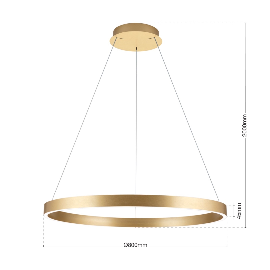 KOLK LED Dimmable Pendant Light on Cable LED/80W/230V 2700/3000/4000K dia. 80 cm Gold