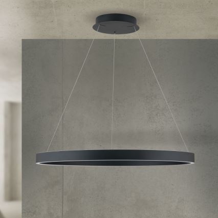 KOLK LED Dimmable Cable Pendant Light LED/80W/230V 2700/3000/4000K Ø 80 cm Black