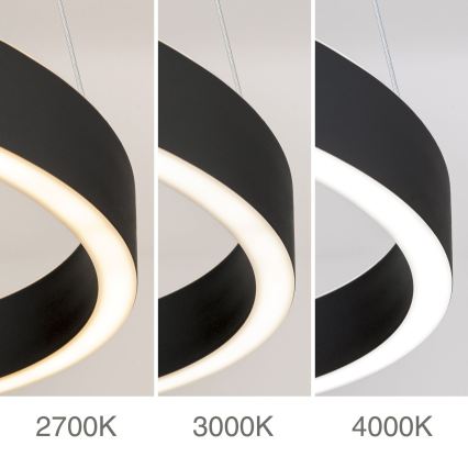 KOLK LED Dimmable Cable Pendant Light LED/80W/230V 2700/3000/4000K Ø 80 cm Black