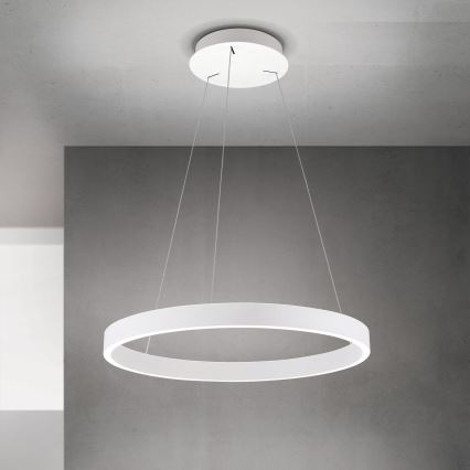 KOLK Dimmable LED Cable Pendant LED/60W/230V 2700/3000/4000K Ø 60 cm White