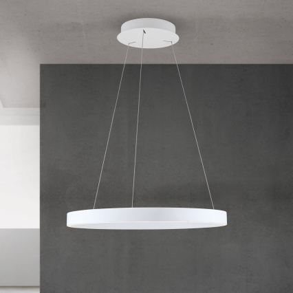 KOLK Dimmable LED Cable Pendant LED/60W/230V 2700/3000/4000K Ø 60 cm White