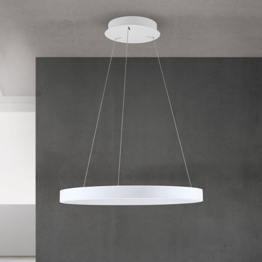 KOLK Dimmable LED Cable Pendant LED/60W/230V 2700/3000/4000K Ø 60 cm White