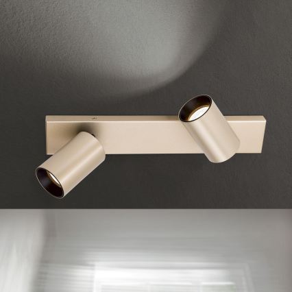 SEAN 2xGU10/13W/230V Gold Spotlight