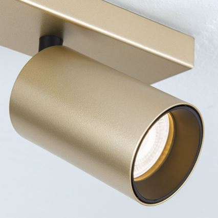 SEAN 4xGU10/13W/230V Gold Spotlight