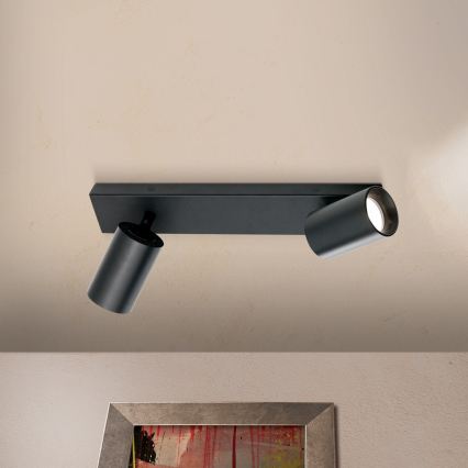 SEAN Spotlight 2xGU10/13W/230V, Black