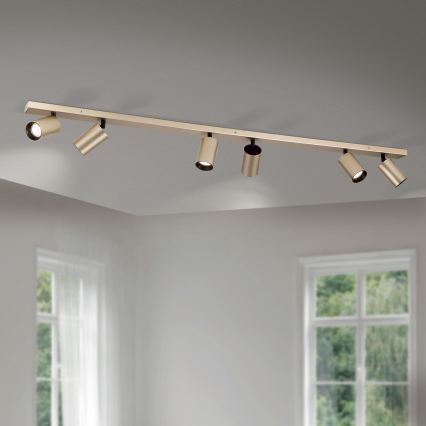 SEAN Spotlight 6xGU10/13W/230V Gold