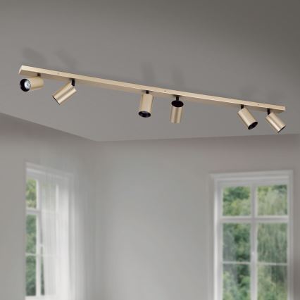 SEAN Spotlight 6xGU10/13W/230V Gold