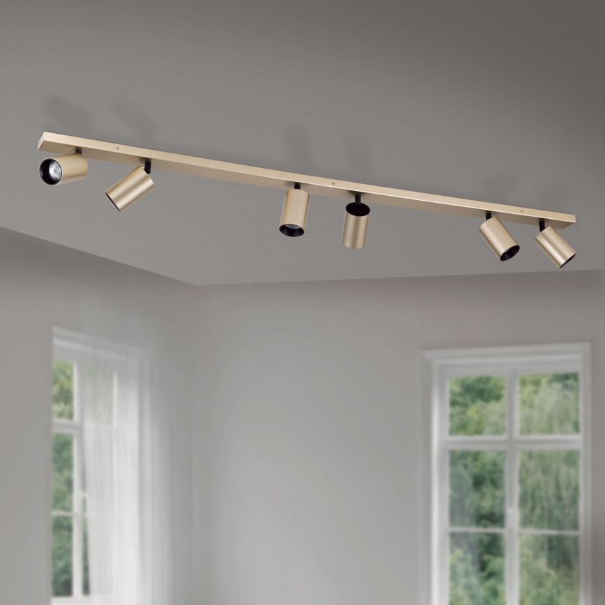 SEAN Spotlight 6xGU10/13W/230V Gold