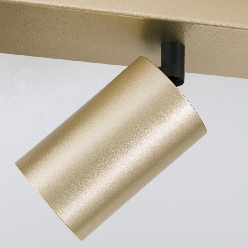 SEAN Spotlight 6xGU10/13W/230V Gold