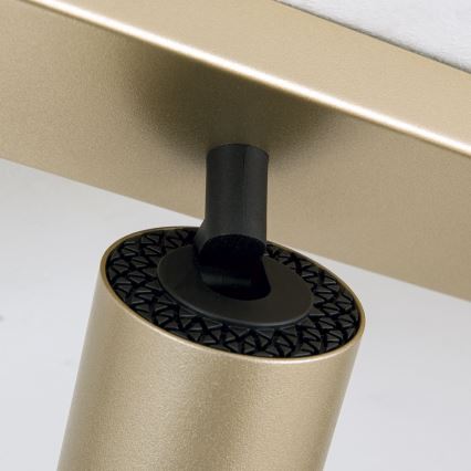 SEAN Spotlight 6xGU10/13W/230V Gold