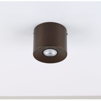 ORION spotlight 1x GU10/10W/230V, 9 cm, brown